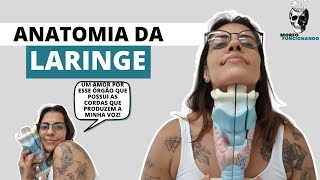 Sistema Respiratório laringe  Traquéia  Anatomia Prática [upl. by Gutow]