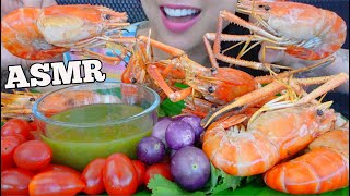 ASMR GRILL GIANT SHRIMP  GREEN SEAFOOD SAUCE EATING SOUNDS NO TALKING  SASASMR [upl. by Donaghue794]