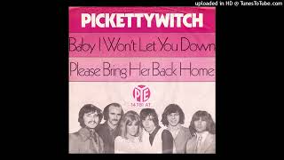 Pickettywitch 1970  Baby I Wont Let You Down magnums extended mix [upl. by Nosneb]