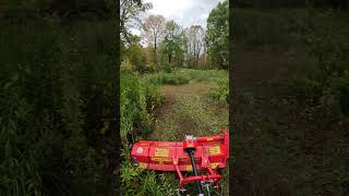 L2501 brush mowing with the Del Morino Funny Top Flail Mower [upl. by Charmaine762]