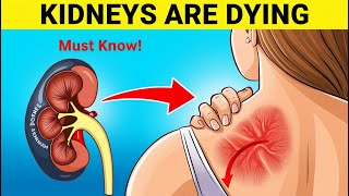 9 Warning Signs Your Kidneys Are Failing Tests to Avoid Dialysis [upl. by Donaghue513]