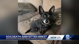 Waukesha County sheriff arrests babysitter for animal cruelty [upl. by Ekim]