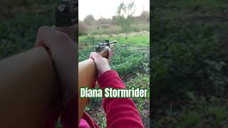 Diana Stormrider Diana airgun’s [upl. by Relly]