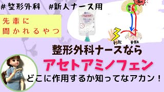 【鎮痛薬②】整形外科ナースならアセトアミノフェンどこに作用するのか知ってなきゃアカン！？新人看護師 [upl. by Nooj712]