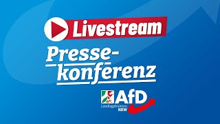 Pressekonferenz AfDInitiativen im Plenum [upl. by Ardekahs]