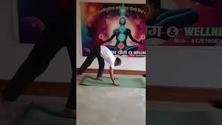 Hand standing practice drsatyprakashyogachary [upl. by Pronty240]