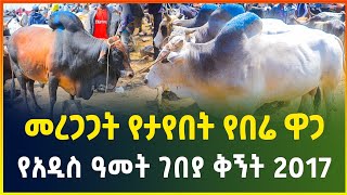 የአዲስ ዓመት ገበያ ቅኝት  መረጋጋት የታየበት የበሬ ዋጋ 2017  New year market review  Gebeya  Ethiopia [upl. by Eetsirk959]