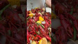 Backyard crawfish boil  food foodie cooking deliciousfood crawfishboil crawfish louisiana [upl. by Aicenaj]