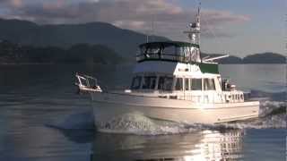 1995 46′ Grand Banks Classic for sale in Washington 319000 [upl. by Renaud]