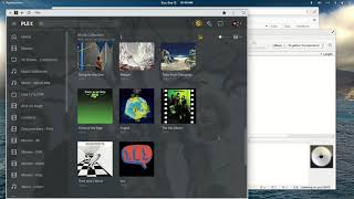 MusicBrainz Picard examples for beginners to fix metadata issues for Plex [upl. by Leaper315]