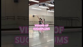 VISIONS OF SUGARPLUMS holidaysnutcrackerrehearsalpartnersugarplumchristmasballerinatutu [upl. by Craner]