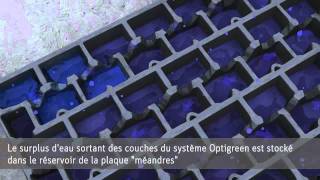 Végétalisation de toiture Optigreen [upl. by Nylodam]