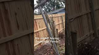 fencingcontractor floridafencing diy shortvideo shorts zephyrhills [upl. by Ttenrag]