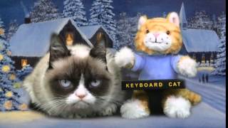 Keyboard Cat Meets Grumpy Cat [upl. by Yllier848]