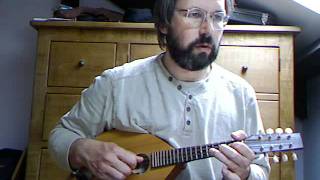 As Deandl mitn rotn Miada Der Neubayrische trad German dance tune on mandolin [upl. by Xuaegram]