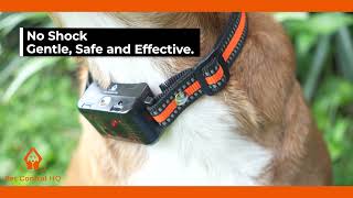 Pet Control HQ Citronella Spray Remote Anti Bark Collar [upl. by Eetnahc]