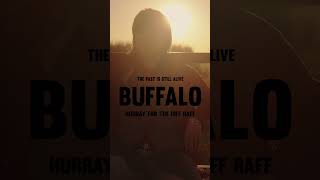 Buffalo  coming Wednesday October 9 [upl. by Torres377]