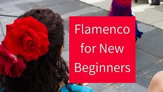 Flamenco Dance Basics  Learning the Fundamentals for New Beginners [upl. by Htebezile]