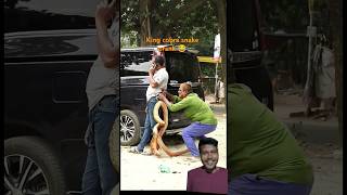 King cobra snake prank 🤣 funny comedy prank tending reaction shorts [upl. by Netsrek]