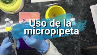 Uso de una micropipeta LIBM UT [upl. by Maillil]