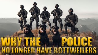 3 Reasons Why The Rottweiler Dog is No Longer in the Police [upl. by Fredie]