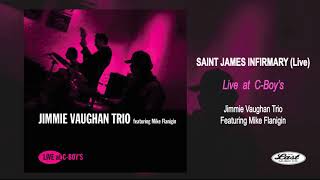 Saint James Infirmary  Jimmie Vaughan Trio  Live At CBoys [upl. by Yrrehc98]