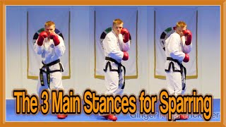 Taekwondo Sparring  The 3 Main Stances  GNT Martial Arts [upl. by Lierbag]