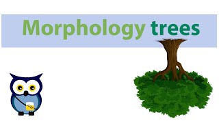 Morphology trees [upl. by Pahl]