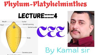 Phylum Platyhelmintheslectur ——4BY Kamal Nepal sir Cee zoology [upl. by Ishmael]