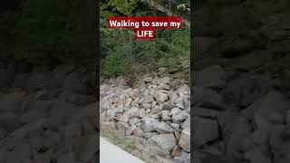 Walking to save my LIFE cardio walkingvideo health [upl. by Miller]