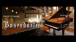 Bosendorfer Imperial 290  Montage for kontakt [upl. by Gnuoy]