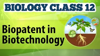 Biopatent in Biotechnology  Biotechnology Process and Application  Biology Class 12 [upl. by Ailemac]