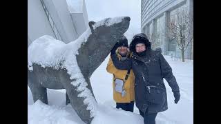 TROMSO NORWAY JANUARY 2022 Pt 1  Arriving Snow Angels amp Beer with a Polar Bear [upl. by Handy]