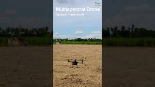 Agriculture Drones  Mapping  Multispectral  Fertilizer Spraying Drone  Sugarcane farm  Shorts [upl. by Aseuqram]