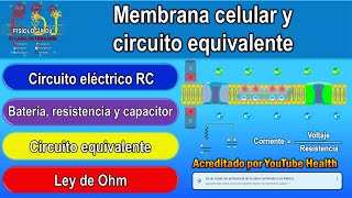 Membrana celular  Membrana plasmática  Circuito equivalente circuito RC y ley de Ohm [upl. by Nosreve]