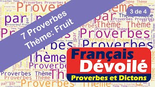 Proverbes  Fruit 3 de 4 [upl. by Blau915]