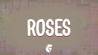 The Chainsmokers  Roses Lyrics ft ROZES [upl. by Earahc]