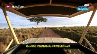 케냐여행마사이마라 국립보호구 Masai Mara National Reserve Kenya  스티커 하나투어 [upl. by Neila]