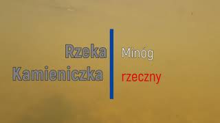 Rzeka Kamieniczka Minóg rzeczny [upl. by Syxela992]