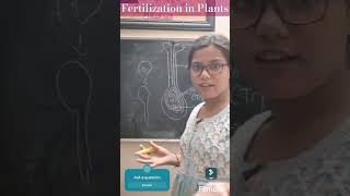 Fertilization in Plants cbseclass10 biology reproductioninplants [upl. by Leina23]