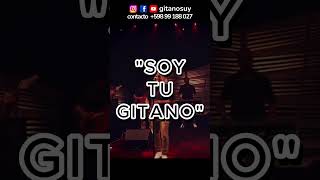 Soy Tu Gitano shorts [upl. by Artimas]