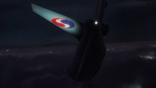 Korean Air Cargo Flight 8509  Crash Animation [upl. by Punak]