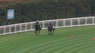 28 Nov Gallops Gallop 8 [upl. by Thompson727]