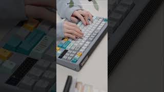 HifiFox Retro Evolution keycaps Exhibition mechanicalkeyboard keyboard [upl. by Eelyrag298]