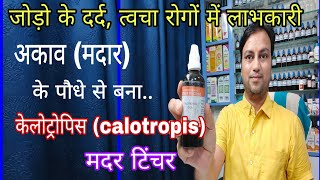 अकाव मदार से बनी दवा के अद्भुत उपयोग Calotropis gigantea mother tincture rheumatism ki best dava [upl. by Sualokcin]