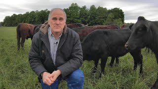 Managing a Small Cattle Herd [upl. by Daugherty]