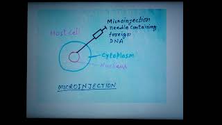 gene therapy part 5 non viral vector [upl. by Bilski424]