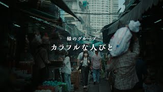 SMBCグループTVCM「カラフルな人びと 白井櫻」篇 30秒 [upl. by Enneiviv321]