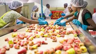 Cashew Picking and Juicing Process in India [upl. by Munshi]