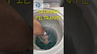 SKIMMER FILTRANTE piscinas mantenimientopiscina shorts shortvideo short skimmer [upl. by Tomchay55]